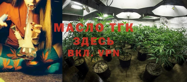 гашик Мегион