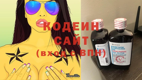 гашик Мегион