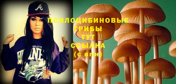 гашиш Медногорск