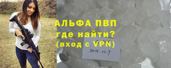 гашик Мегион
